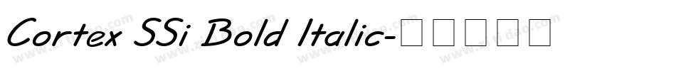 Cortex SSi Bold Italic字体转换